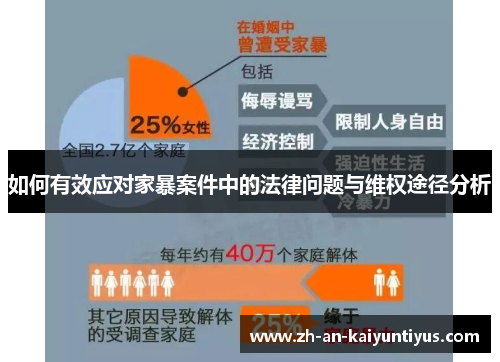 如何有效应对家暴案件中的法律问题与维权途径分析