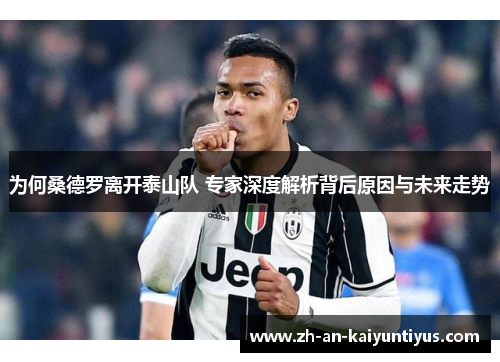 为何桑德罗离开泰山队 专家深度解析背后原因与未来走势