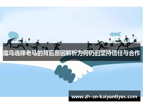 魔鸟选择老马的背后原因解析为何仍旧坚持信任与合作